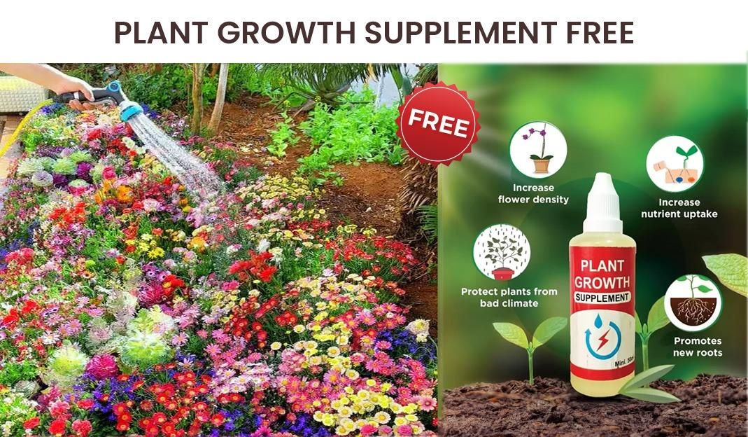 Buy Varieties of Flower Seeds (Pack of 100) And Get Plant Growth Supplement Free -Garden & Outdoor