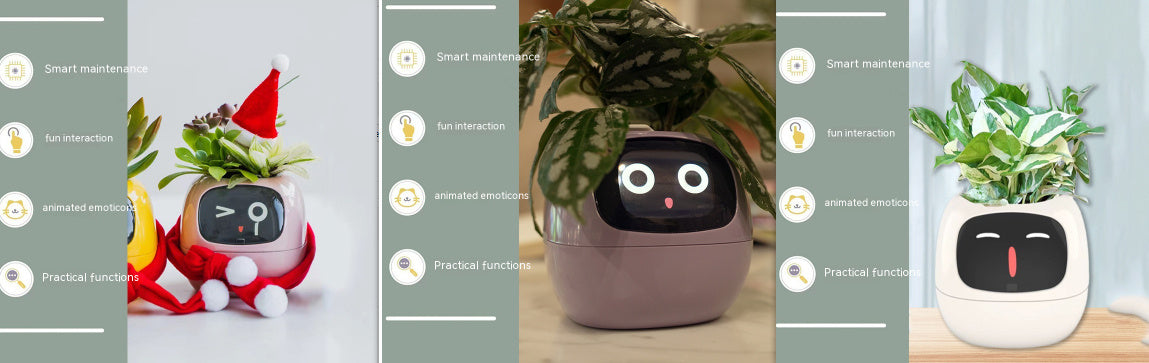 Smart plant pot with face design on a wooden surface