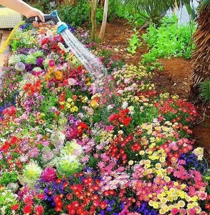 Buy Varieties of Flower Seeds (Pack of 100) And Get Plant Growth Supplement Free -Garden & Outdoor