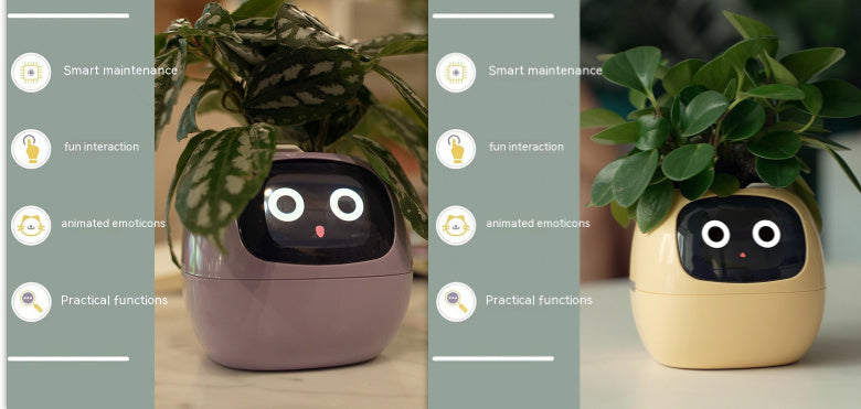 Smart plant pot with a face on a wooden surface, showing different angles.