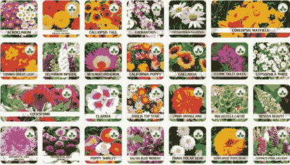 Buy Varieties of Flower Seeds (Pack of 100) And Get Plant Growth Supplement Free -Garden & Outdoor