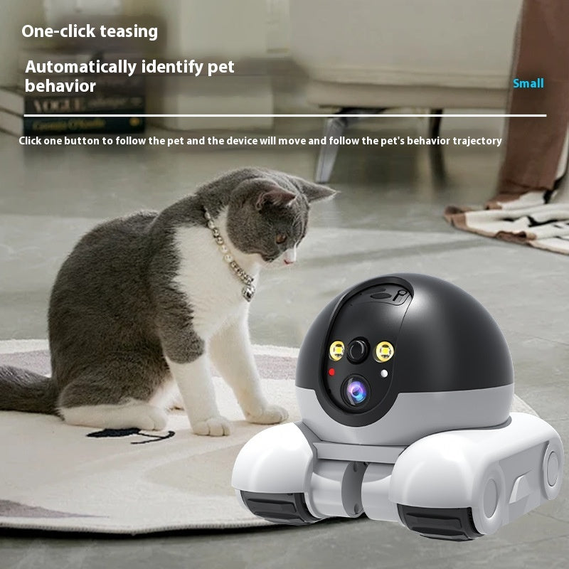 Cat interacting with a robot device on a carpeted floor.