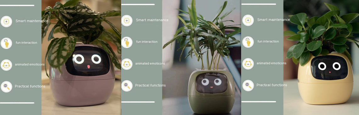 Smart plant pot with a face on a table