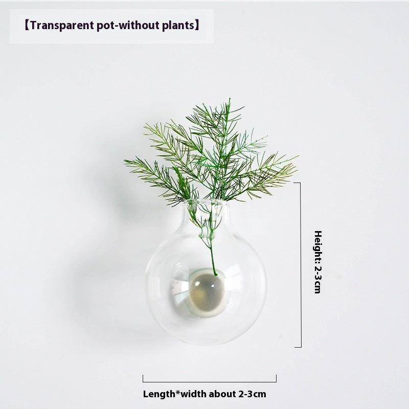 Transparent pot without plants with dimensions on a white background