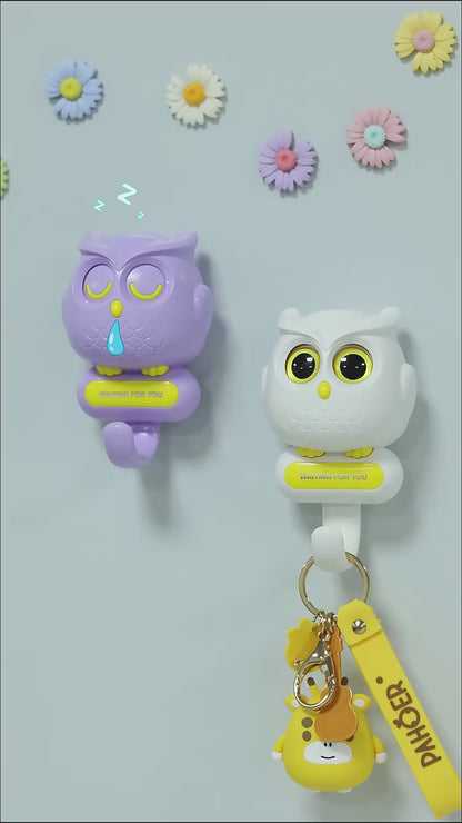 Creative Owl Magnetic Key Hook - Home Decors